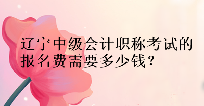 遼寧中級(jí)會(huì)計(jì)報(bào)名費(fèi)需要多少錢？