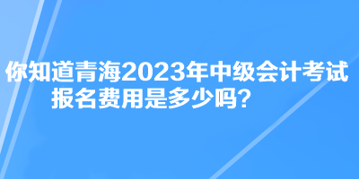 你知道青海2023年中級會計考試報名費(fèi)用是多少嗎？