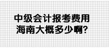 中級會計報考費用海南大概多少啊