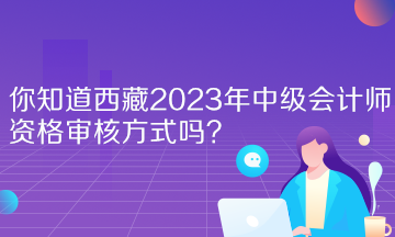 你知道西藏2023年中級(jí)會(huì)計(jì)師資格審核方式嗎？