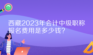 西藏2023年會計(jì)中級職稱報(bào)名費(fèi)用是多少錢？