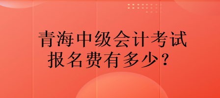 青海中級會計(jì)考試報名費(fèi)有多少？