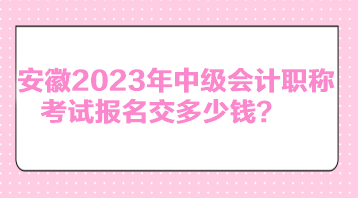 安徽2023年中級(jí)會(huì)計(jì)職稱考試報(bào)名交多少錢？