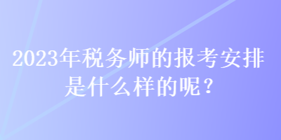 2023年稅務(wù)師的報(bào)考安排是什么樣的呢？