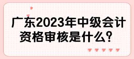 廣東2023年中級(jí)會(huì)計(jì)資格審核是什么？