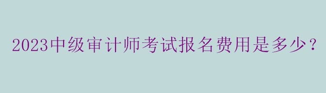 2023中級(jí)審計(jì)師考試報(bào)名費(fèi)用是多少？