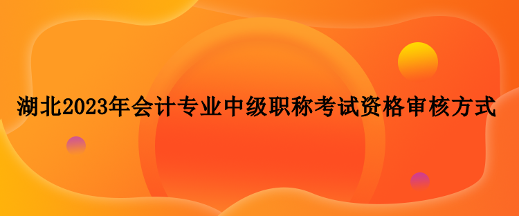 湖北2023年會計專業(yè)中級職稱考試資格審核方式？