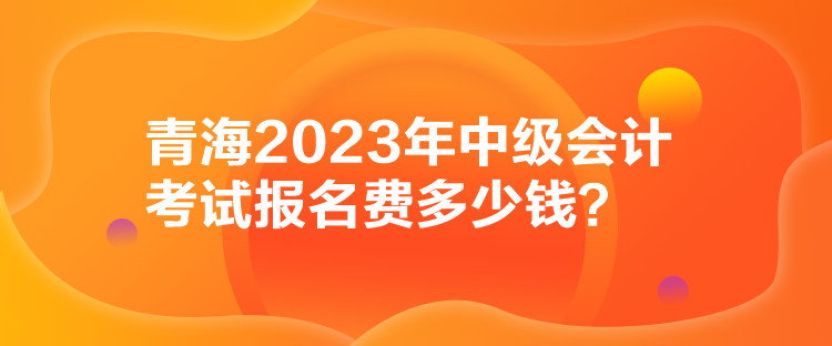 青海2023年中級(jí)會(huì)計(jì)考試報(bào)名費(fèi)多少錢？