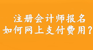 注冊會計師報名如何網(wǎng)上支付費用？