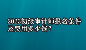 2023初級審計師報名條件及費用多少錢？