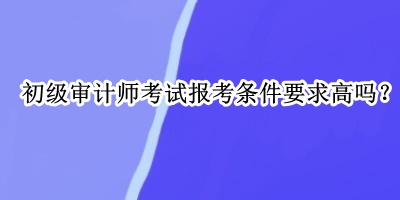 初級審計師考試報考條件要求高嗎？