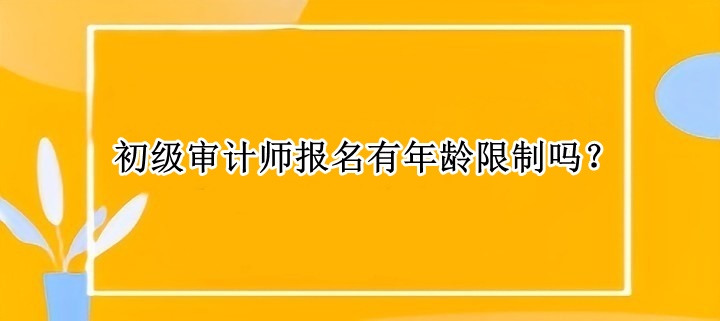 初級審計師報名有年齡限制嗎？