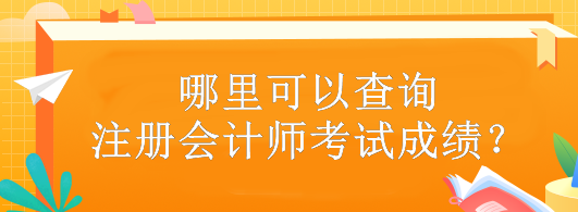 哪里可以查詢注冊(cè)會(huì)計(jì)師考試成績？