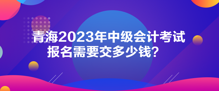 青海2023年中級會計考試報名需要交多少錢？