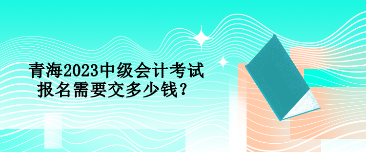 青海2023中級會計考試報名需要交多少錢？