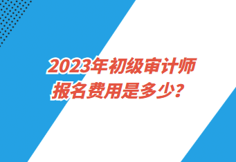 2023年初級(jí)審計(jì)師報(bào)名費(fèi)用是多少？