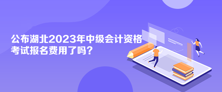 公布湖北2023年會計中級資格考試報名費用了嗎？