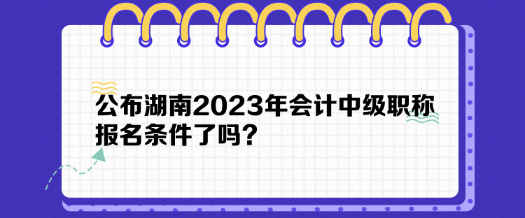 公布湖南2023年會(huì)計(jì)中級(jí)職稱報(bào)名條件了嗎？