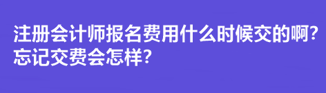 注冊(cè)會(huì)計(jì)師報(bào)名費(fèi)用什么時(shí)候交的??？忘記交費(fèi)會(huì)怎樣？