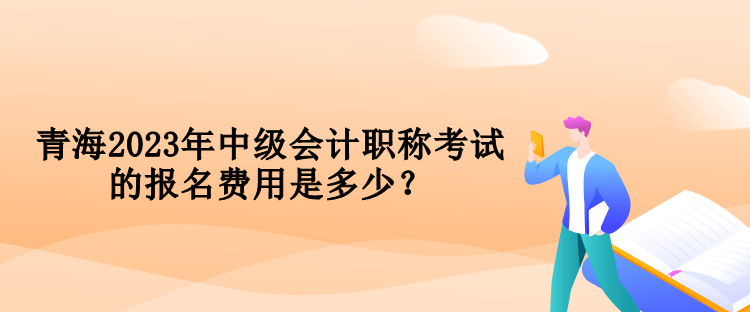 青海2023年中級會計(jì)職稱考試的報(bào)名費(fèi)用是多少？