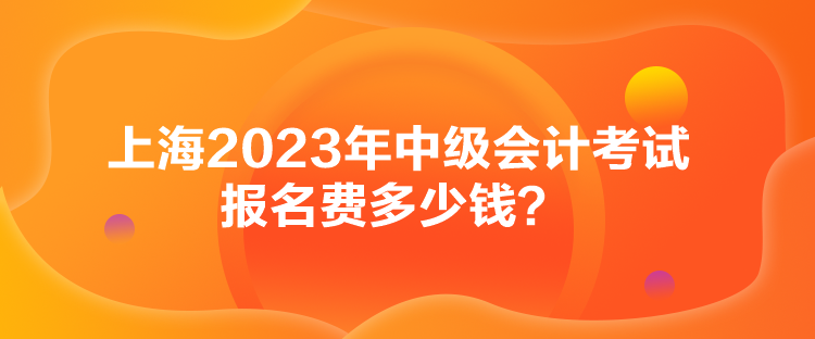 上海2023年中級(jí)會(huì)計(jì)考試報(bào)名費(fèi)多少錢？