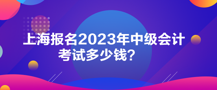 上海報(bào)名2023年中級(jí)會(huì)計(jì)考試多少錢(qián)？