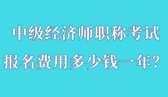 中級(jí)經(jīng)濟(jì)師職稱(chēng)考試報(bào)名費(fèi)用多少錢(qián)一年？