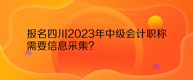 報(bào)名四川2023年中級(jí)會(huì)計(jì)職稱需要信息采集？