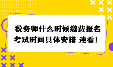 稅務師什么時候繳費報名考試時間具體安排 速看！