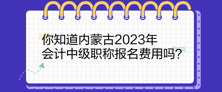 你知道內(nèi)蒙古2023年會計中級職稱報名費用嗎？