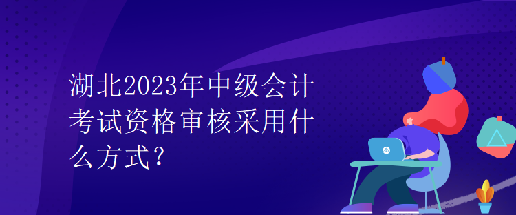 湖北2023年中級(jí)會(huì)計(jì)考試資格審核采用什么方式？