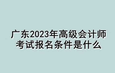 廣東2023年高級(jí)會(huì)計(jì)師考試報(bào)名條件是什么