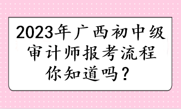 2023年廣西初中級(jí)審計(jì)師報(bào)考流程你知道嗎？