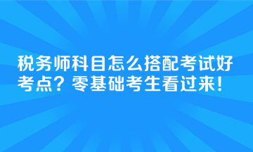 稅務(wù)師科目怎么搭配考試好考點(diǎn)？零基礎(chǔ)考生看過來！