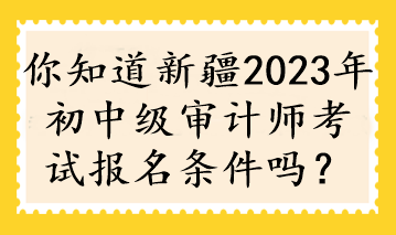 你知道新疆2023年初中級(jí)審計(jì)師考試報(bào)名條件嗎？