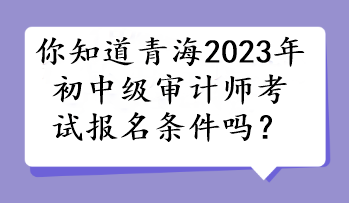 你知道青海2023年初中級(jí)審計(jì)師考試報(bào)名條件嗎？