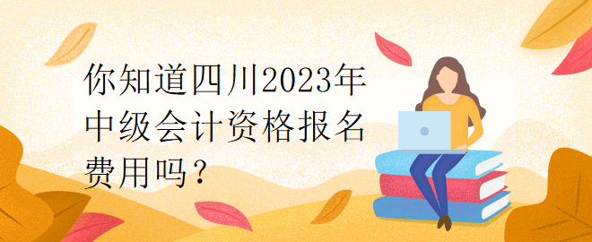 你知道四川2023年中級(jí)會(huì)計(jì)資格報(bào)名費(fèi)用嗎？