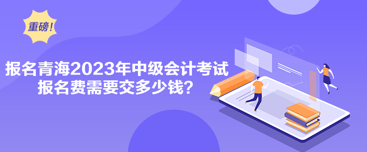 報(bào)名青海2023年中級(jí)會(huì)計(jì)考試報(bào)名費(fèi)需要交多少錢(qián)？