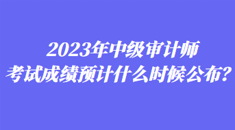 2023年中級(jí)審計(jì)師考試成績(jī)預(yù)計(jì)什么時(shí)候公布？