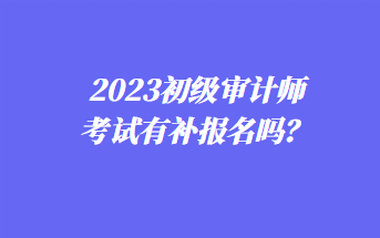 2023年初級審計師考試有補報名嗎？