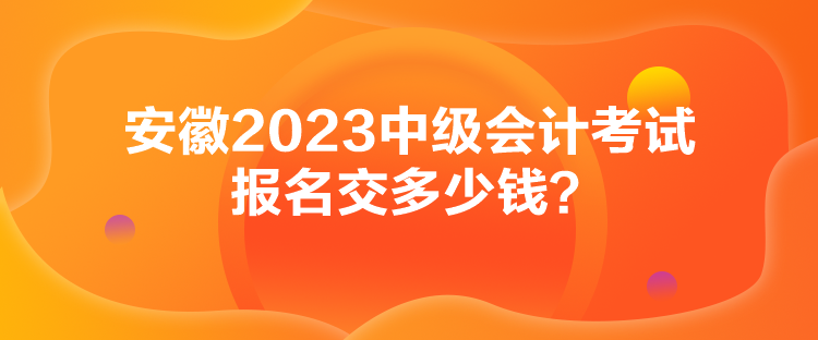 安徽2023中級會計考試報名交多少錢？