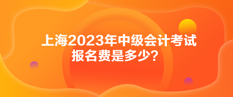 上海2023年中級(jí)會(huì)計(jì)考試報(bào)名費(fèi)是多少？