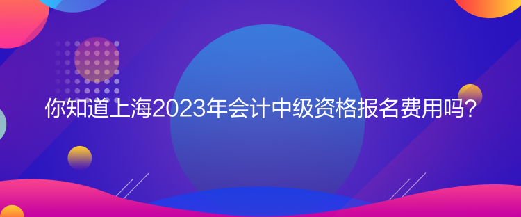 你知道上海2023年會計中級資格報名費用嗎？