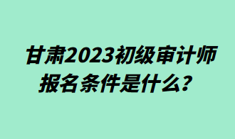 甘肅2023初級審計師報名條件是什么？