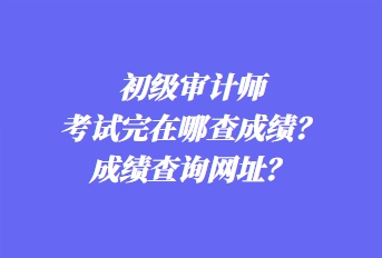 初級(jí)審計(jì)師考試完在哪查成績(jī)？成績(jī)查詢網(wǎng)址？