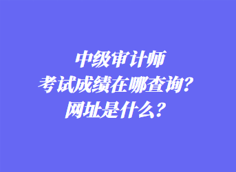 中級審計師考試成績在哪查詢？網(wǎng)址是什么？