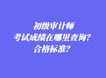 初級(jí)審計(jì)師考試成績(jī)?cè)谀睦锊樵儯亢细駱?biāo)準(zhǔn)？