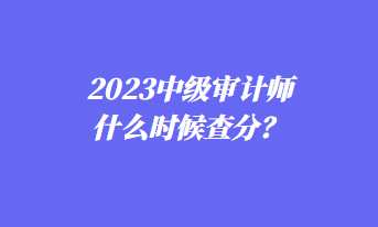 2023中級審計師什么時候查分？