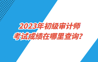 2023年初級(jí)審計(jì)師考試成績(jī)?cè)谀睦锊樵?xún)？