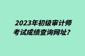 2023年初級(jí)審計(jì)師考試成績(jī)查詢網(wǎng)址？